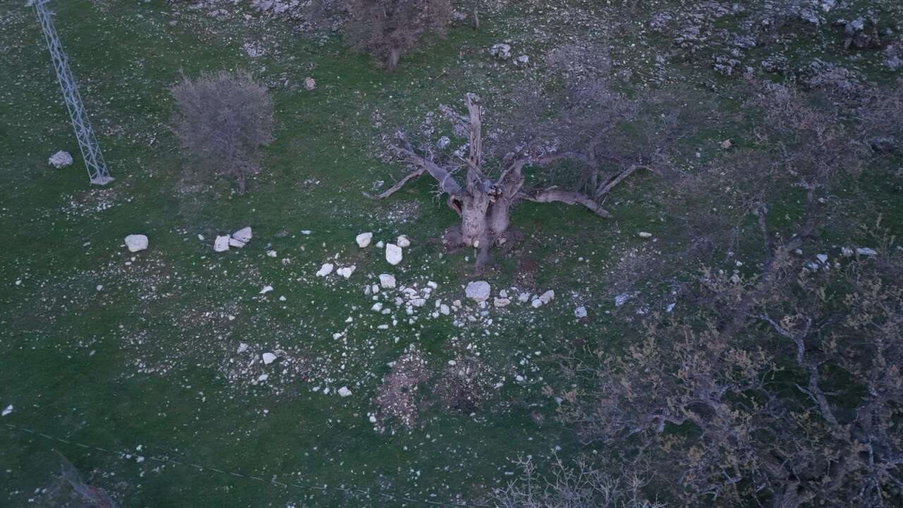 Gülistan Doku soruşturmasında 40 kilometrelik alanda mezar aranıyor 6